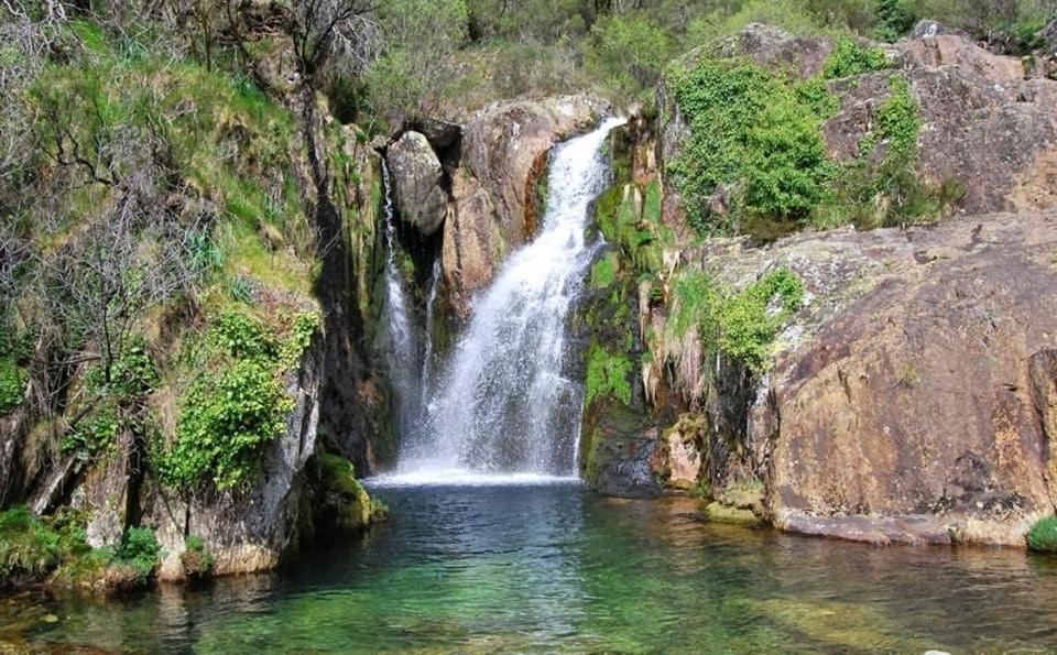 Casa Do Sobrado Arouca Βίλα Εξωτερικό φωτογραφία
