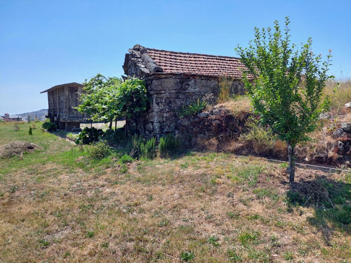 Casa Do Sobrado Arouca Βίλα Εξωτερικό φωτογραφία